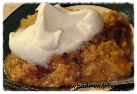 Apple-Crisp-Cobbler