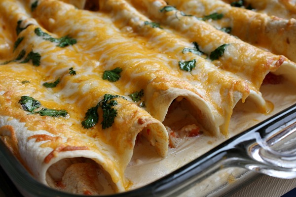 Three-Cheese-Chicken-Enchiladas1