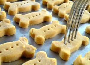 Cleo’s Pumpkin Dog Biscuits