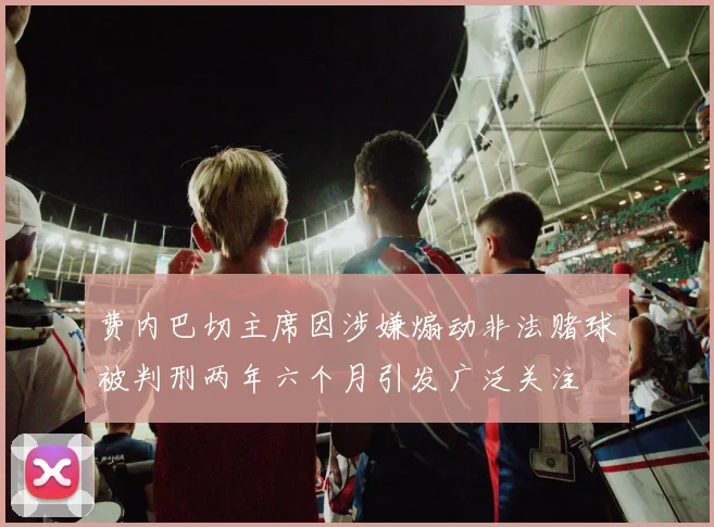 费内巴切主席因涉嫌煽动非法赌球被判刑两年六个月引发广泛关注