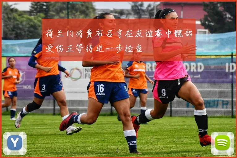 荷兰门将费布吕亨在友谊赛中髋部受伤正等待进一步检查