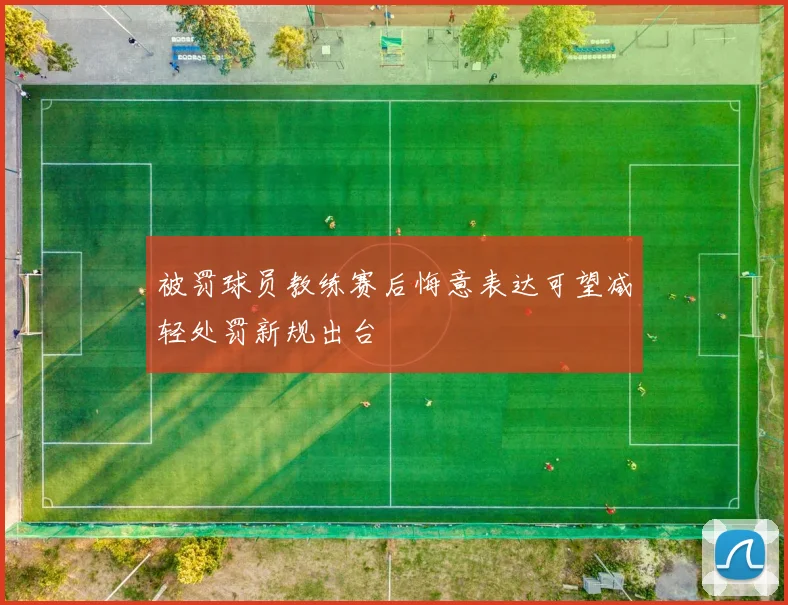 被罚球员教练赛后悔意表达可望减轻处罚新规出台