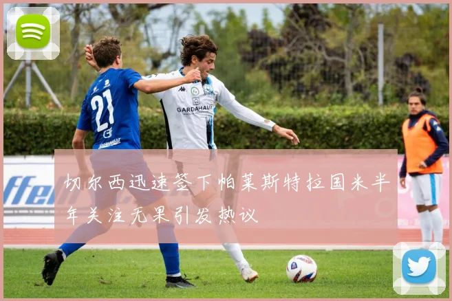 切尔西迅速签下帕莱斯特拉国米半年关注无果引发热议