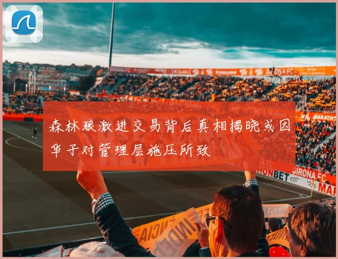 森林狼激进交易背后真相揭晓或因华子对管理层施压所致