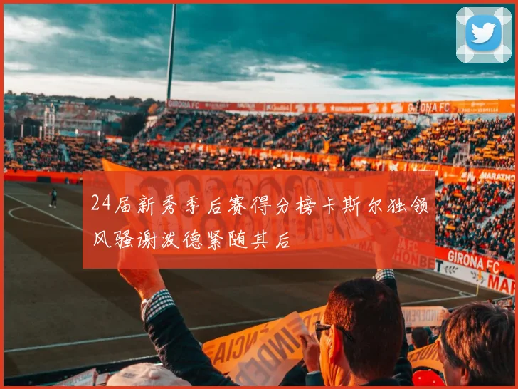 24届新秀季后赛得分榜卡斯尔独领风骚谢泼德紧随其后