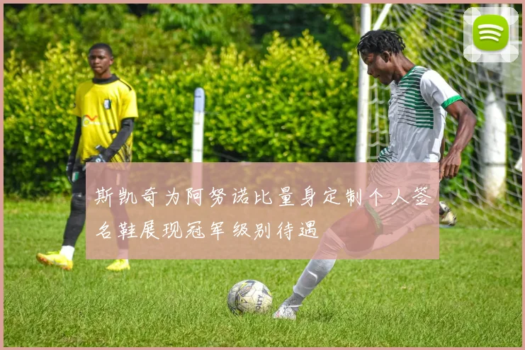 斯凯奇为阿努诺比量身定制个人签名鞋展现冠军级别待遇