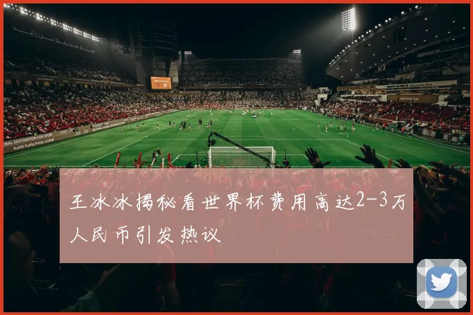 王冰冰揭秘看世界杯费用高达2-3万人民币引发热议
