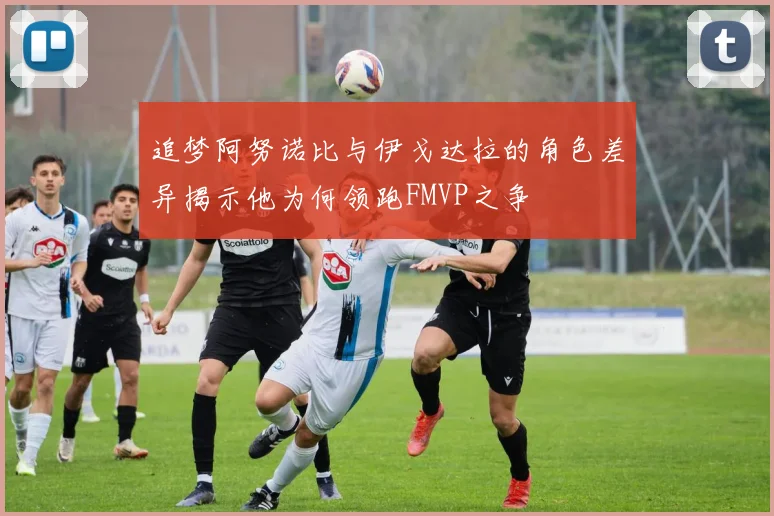 追梦阿努诺比与伊戈达拉的角色差异揭示他为何领跑FMVP之争