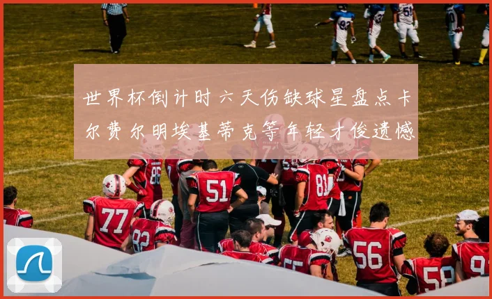 世界杯倒计时六天伤缺球星盘点卡尔费尔明埃基蒂克等年轻才俊遗憾缺席