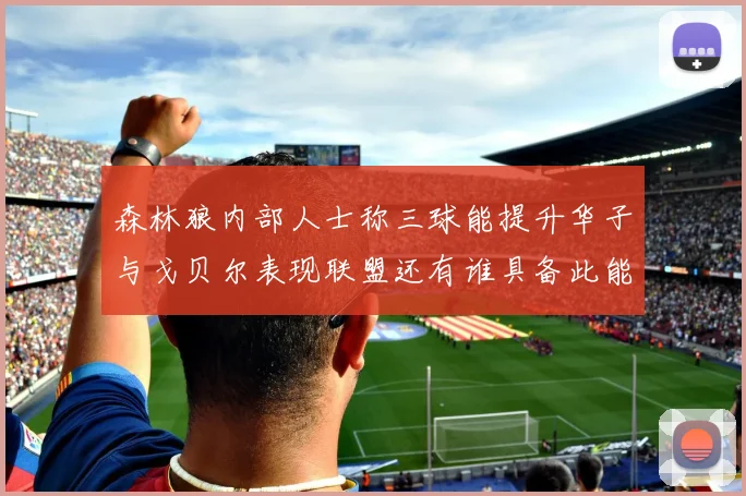 森林狼内部人士称三球能提升华子与戈贝尔表现联盟还有谁具备此能力