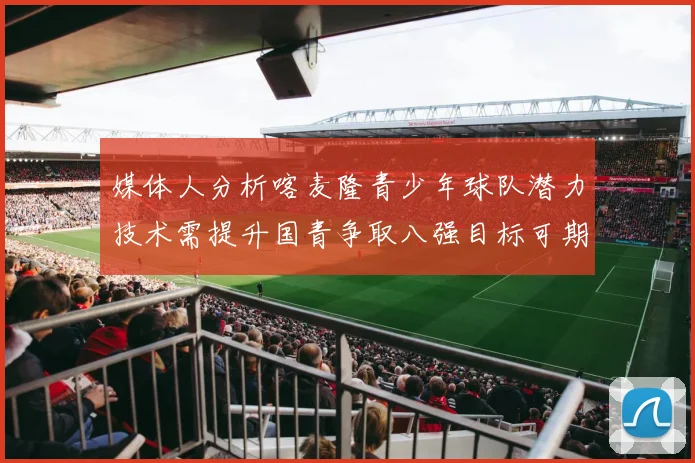 媒体人分析喀麦隆青少年球队潜力技术需提升国青争取八强目标可期