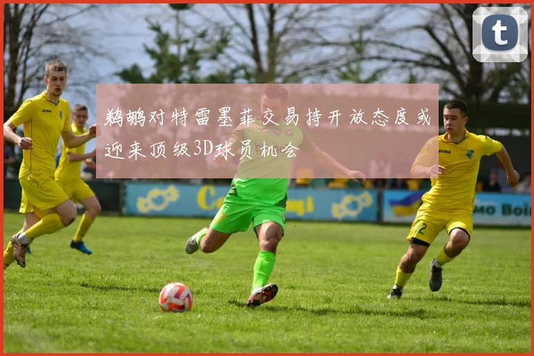 鹈鹕对特雷墨菲交易持开放态度或迎来顶级3D球员机会