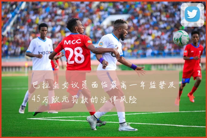 巴拉圭女议员面临最高一年监禁及45万欧元罚款的法律风险