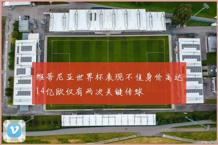 维蒂尼亚世界杯表现不佳身价高达14亿欧仅有两次关键传球
