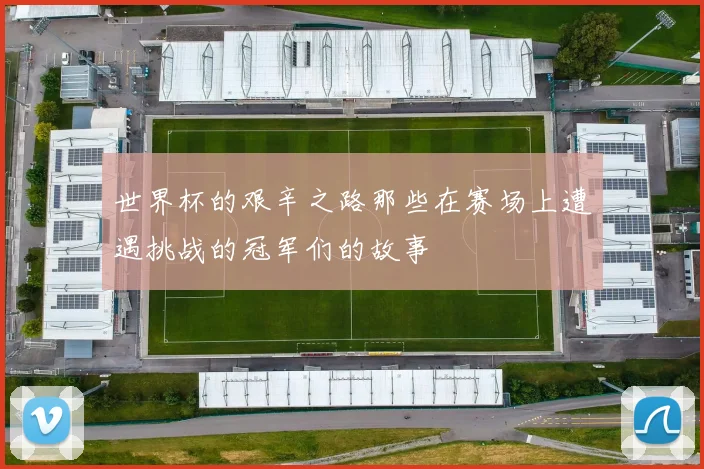 世界杯的艰辛之路那些在赛场上遭遇挑战的冠军们的故事