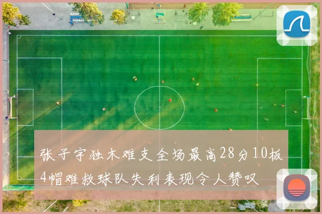 张子宇独木难支全场最高28分10板4帽难救球队失利表现令人赞叹