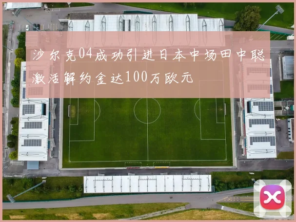沙尔克04成功引进日本中场田中聪激活解约金达100万欧元