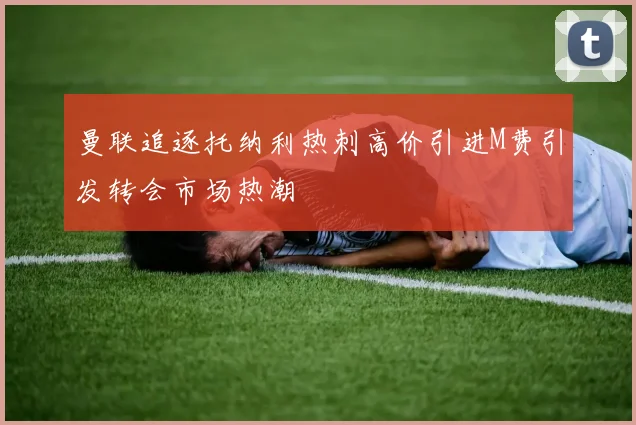 曼联追逐托纳利热刺高价引进M费引发转会市场热潮