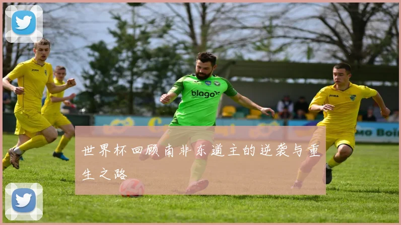 世界杯回顾南非东道主的逆袭与重生之路
