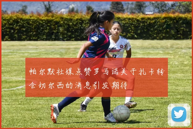 帕尔默社媒点赞罗马诺关于扎卡转会切尔西的消息引发期待