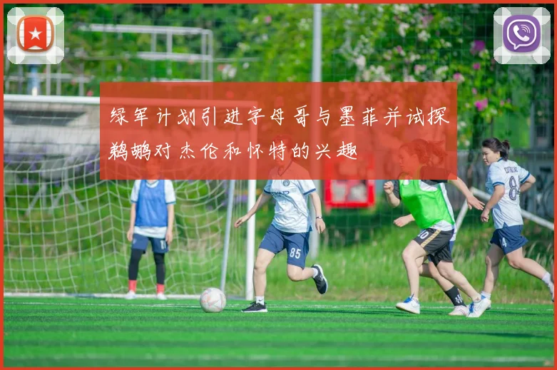 绿军计划引进字母哥与墨菲并试探鹈鹕对杰伦和怀特的兴趣