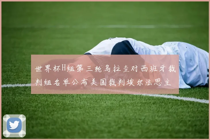 世界杯H组第三轮乌拉圭对西班牙裁判组名单公布美国裁判埃尔法思主裁判