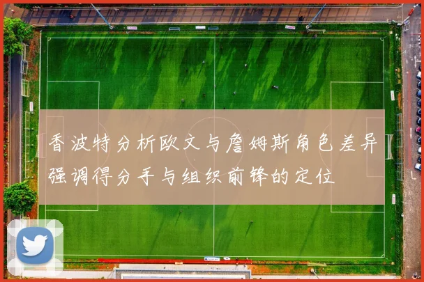 香波特分析欧文与詹姆斯角色差异强调得分手与组织前锋的定位