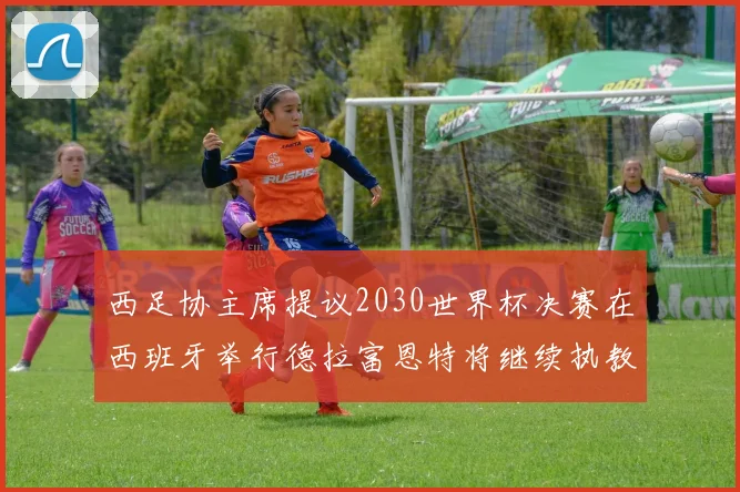 西足协主席提议2030世界杯决赛在西班牙举行德拉富恩特将继续执教国家队