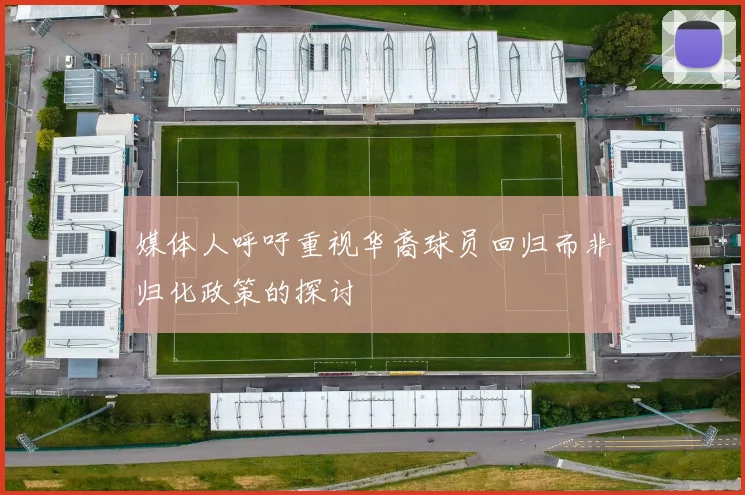 媒体人呼吁重视华裔球员回归而非归化政策的探讨
