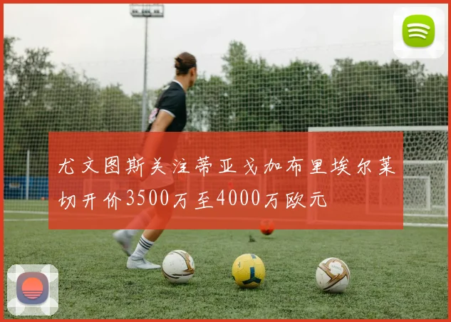 尤文图斯关注蒂亚戈加布里埃尔莱切开价3500万至4000万欧元