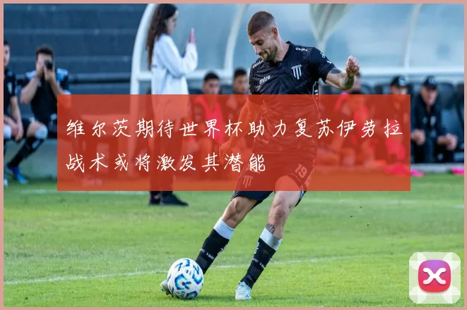 维尔茨期待世界杯助力复苏伊劳拉战术或将激发其潜能