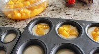 Ingredients: 1 cup sugar 1 cup flour 2 tsp baking powder a dash of salt 3/4 cup milk 1 stick of melted butter brown sugar cinnamon 1 can diced peaches […]