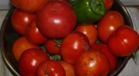 Tomatoes The chill of the icebox makes tomatoes dull and mealy. Store on the counter (under-ripe ones can go on the windowsill). If they begin to get too ripe, it’s […]